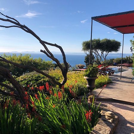 Villa Mirabel Île du Levant Buitenkant foto