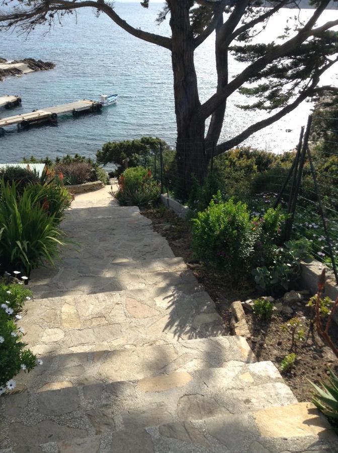 Villa Mirabel Île du Levant Buitenkant foto